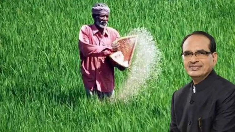 MP: किसानों के लिए तकनीकी उपकरण मैं 40 से 60 हजार की सब्सिडी दे रही है सरकार: रिंकू पंडित KTG समाचार