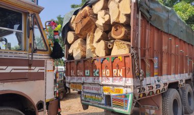 लकड़ी तस्कर के खिलाफ डीएसटी ल टीम की बड़ी कार्रवाई, बीती रात 3 गीली लकड़ी से भरे ट्रक अधिग्रहित l
