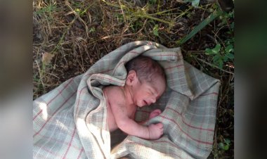 हथाई गांव में सड़क किनारे झाड़ियो मिला नवजात शिशु
