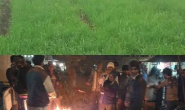 मौसम ने मारी पलटी ठीठूरा देने वाली ठंडी हवा चली गेहूं, चने की फसल को होगा फायदा