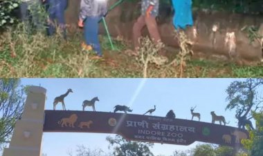 चिड़ियाघर (ज़ू ) से भाग गया तेंदुआ परिसर के कैमरे बंद