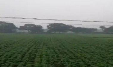 देवास के मौसम मे आया अचानक बदलाव कई फसलों को फायदा तो कई को नुकसान