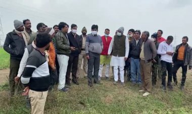 शिवपुरी: ग्राम पचावली में विगत ओलावृष्टि से हुए नुकसान का विधायक वीरेंद्र रघुवंशी के साथ एसडीएम कोलारस ने किया निरीक्षण: रिंकू पंडित KTG शिवपुरी एमपी