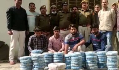 चोरी की बड़ी वारदातों को खुलासा करते हुए पुलिस ने 5 आरोपियों को गिरफ्तार किया