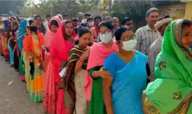 विधानसभा चुनाव में पीठासीन अधिकारी पर कार्यवाही करने की मांग