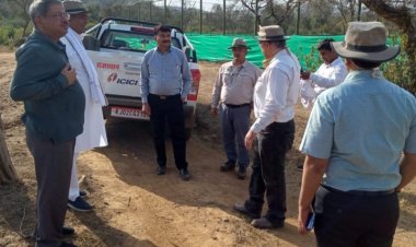 जलवायु परिवर्तन मन्त्री भूपेंद्र यादव ने सरिस्का अधिकारियों के साथ बैठक कर समीक्षा बैठक ली