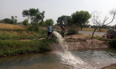 रजौराखुर्द में नहर के पानी रिसाव से फसल नष्ट होने की कगार पर
