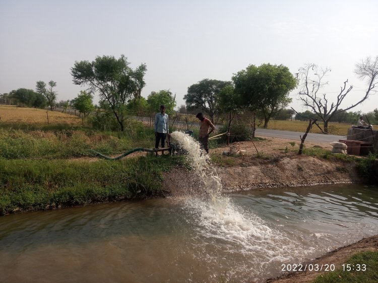 रजौराखुर्द में नहर के पानी रिसाव से फसल नष्ट होने की कगार पर
