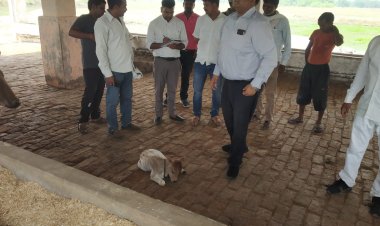जिलाधिकारी द्वारा अस्थायी गोवंश आश्रय स्थल शाहपुरपूरन, नगर पंचायत लम्भुआ का किया गया आकस्मिक निरीक्षण।