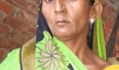 तहसील- लंभुआ का क्षेत्रीय स्थान -"अमरूपुर" नामक क्षेत्र से 38 वर्षीय महिला लापता तथा पारिवारिक तलास जारी।