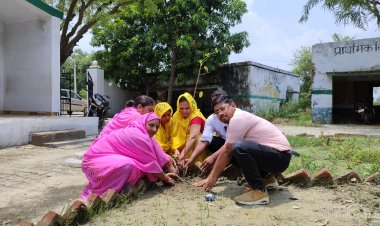 जिला कार्यक्रम अधिकारी द्वारा आंगनबाड़ी केन्द्रों के परिसर में किये गये पौध रोपित।