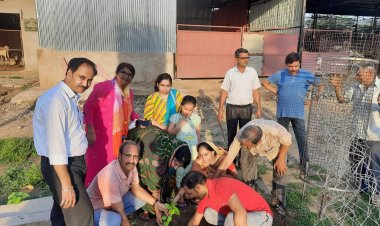 द्वितीय पुण्यतिथि पर किया वृक्षारोपण