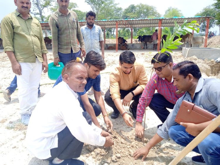 डीएम व सीडीओ द्वारा नवसंचालित अस्थायी गोवंश आश्रय स्थल बिरसिंहपुर का किया गया आकस्मिक निरीक्षण।