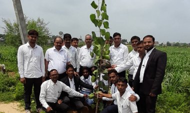 एडवोकेट विनोद भार्गव की स्मृति में सैपऊ न्यायालय परिसर में किया गया वृक्षारोपण