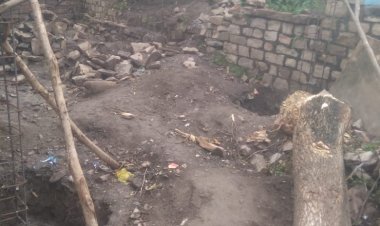 एक तरफ देश के बड़े बड़े नेता और अधिकारी ब्रक्षारोपण पर सेल्फी खिंचवाते हैं दूसरी ओर पेड़ कटने पर अनदेखी।: रिंकू पंडित KTG समाचार शिवपुरी