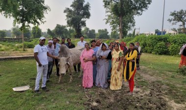 महिला मोर्चा मंडल राजगढ़ द्वारा  वायरस से पीड़ित गायों को चारा और पानी की व्यवस्था की