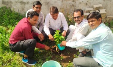 सेवा समर्पण पखवाड़े के अन्तर्गत वृक्षारोपण कार्यक्रम पी डी गर्ल्स कॉलेज परिसर में किया