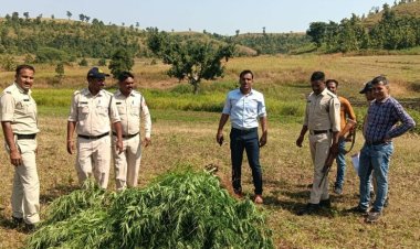 अवैध मादक पदार्थ गांजे के विरूद्ध थाना कोतवाली पुलिस की बड़ी कार्यवाही