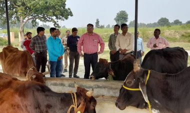 जिलाधिकारी द्वारा अस्थायी गोवंश आश्रय स्थल-अगई, वि0ख0 कुड़वार का किया गया आकस्मिक निरीक्षण।