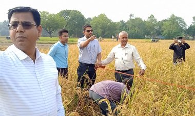 मुख्य विकास अधिकारी द्वारा खरीफ फसल धान की कटिंग कर किया गया शुभारम्भ।