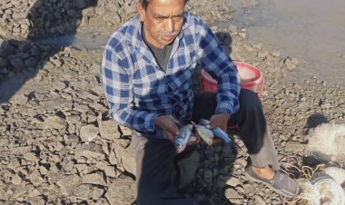 प्रधानमंत्री मत्स्य संपदा योजना में मत्स्य उत्पादन श्री राधेश्याम को 03 लाख 13 हजार रूपये का मिला लाभ