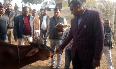 मुख्य विकास अधिकारी द्वारा वृहद गोवंश आश्रय स्थल सिरवारा, ब्लाक कूरेभार व गोवंश आश्रय स्थल ममरख, विकास खण्ड कूरेभार का आकस्मिक निरीक्षण किया गया।