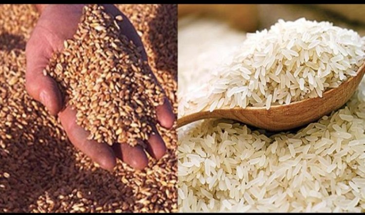 राशन की दुकानों से चावल अधिक मात्रा में मिलने पर गरीब की थाली से गायब हो रही गेहूं की रोटी