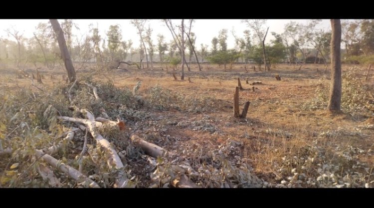 औद्योगिक क्षेत्र में हो रही अंधाधुंध हरे भरे वृक्षों की कटाई, थाना प्रभारी के नाम सौंपा ज्ञापन