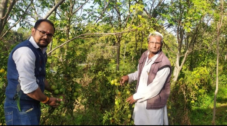 देवास जिले के किसान श्री अनवर ने उद्यानिकी विभाग की योजना से पॉलीहाउस का कराया निर्माण, फसलों से 01 से 1.25 लाख का कमा रहे है शुद्ध मुनाफा
