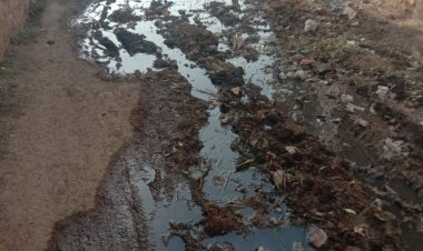 *बैराड़: गजव बात, जिस गली से 11,12,13 वॉर्ड प्राभावित, उसे छोड़कर सबके सीसी रोड़ डले।*