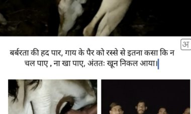 बर्बरता की हदें पार, इंसानियत को भूल आदमी, कितनी छोटी सोच के साथ जी रहा है।