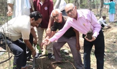 माता टेकरी पर 50 पौधों का वरिष्ठजनों ने किया रोपण, दर्शनार्थियों को पौधारोपण हेतु किया प्रेरित