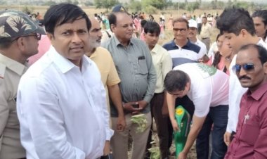 शासकीय विद्यालय के छात्र एवम शिक्षकों ने शंकरगढ़ पहाड़ी पर लगाए 1000 पौधे