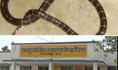*सर्पदंश की दवा उपलब्ध कराने जिला चिकित्सा अधिकारी को भारती पत्रकार महासभा तहसील बैराड़ ने लिखा पत्र|*