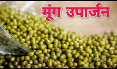 देवास जिले में ग्रीष्मकालीन मूंग फसल का उपार्जन 31 जुलाई तक