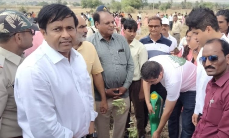 शासकीय विद्यालय के छात्र एवम शिक्षकों ने शंकरगढ़ पहाड़ी पर लगाए 1000 पौधे