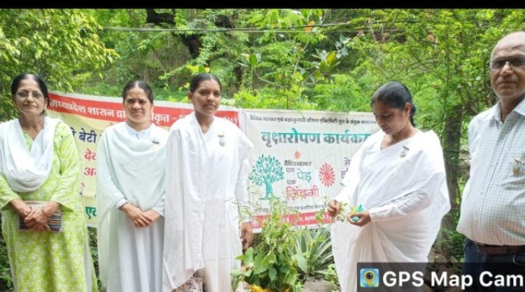 माँ चामुण्डा टेकरी को हराभरा करने के उद्देश्य से सप्ताह में दो बार रौपे जा रहे अनगिनत पौधे