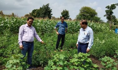 देवास जिले में कृषि अधिकारियों ने खेतो में फसलों का किया निरीक्षण, सोयाबीन कृषकों के लिए उपयोगी सलाह
