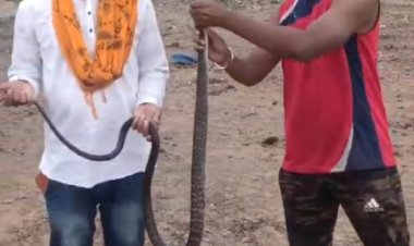 48 घंटे रेस्क्यू कर पकड़ा 7 फीट लंबा सांप, सुरक्षित रूप से अन्यत्र जगह छोड़ा
