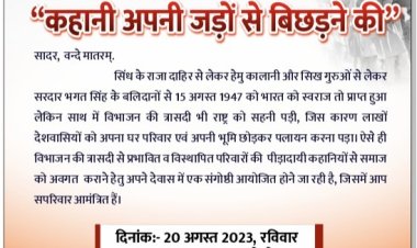 1947 त्रासदी, कहानी अपनी जड़ों  से बिछड़ने की