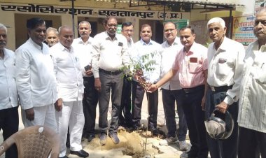 कलेक्ट्रेट परिसर में अधिवक्ताओं ने किया वृक्षारोपण।