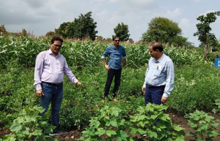 देवास जिले में कृषि अधिकारियों ने खेतो में फसलों का किया निरीक्षण, सोयाबीन कृषकों के लिए उपयोगी सलाह