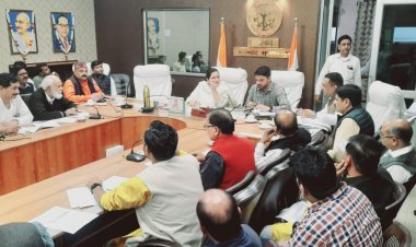 जिलाधिकारी की अध्यक्षता में व्यापार बन्धु की बैठक हुई आयोजित।