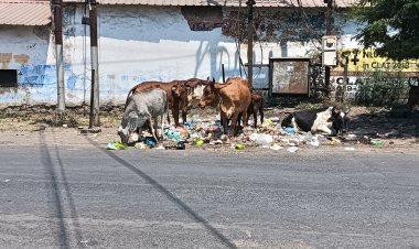 61 छावनी में नंबर वन आने वाला महू