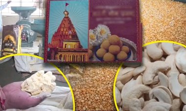 उज्जैन के महाकालेश्वर मंदिर में कैसे बनता है प्रसाद मिल चुका है सेफ भाग अवार्ड