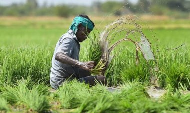 मृतक किसान की माँ को मिलेगी पांच लाख रुपये की कृषक दुर्घटना बीमा की क्षतिपूर्ति धनराशि।