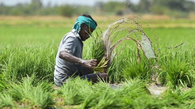 मृतक किसान की माँ को मिलेगी पांच लाख रुपये की कृषक दुर्घटना बीमा की क्षतिपूर्ति धनराशि।