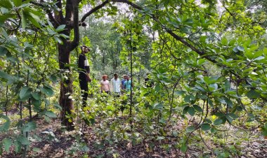 सर्राटोला में नाबालिक लड़के का शव पेड़ पर लटकता मिला