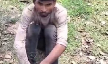 डीजल चोरी के आरोप में दो युवकों को पेड़ से बांधकर जमकर पीटा, पुलिस ने दर्ज किया मामला