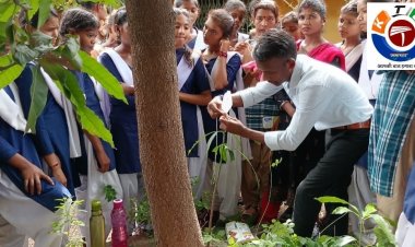 विद्यालय में पढ़ने वाले छात्र दलपत ने व्यावसायिक शिक्षा के तहत सीखा नर्सरी तैयार करना-सफलता की कहानी